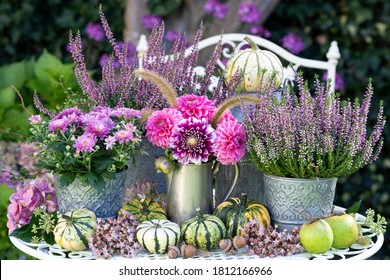 Garden Decoration With Bouquet Of Pink Dahlias,  Autumn Flowers And Pumpkins