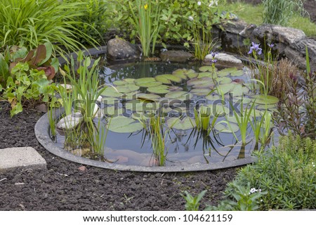 garden decoration in a cottage garden,  pond with water-lily