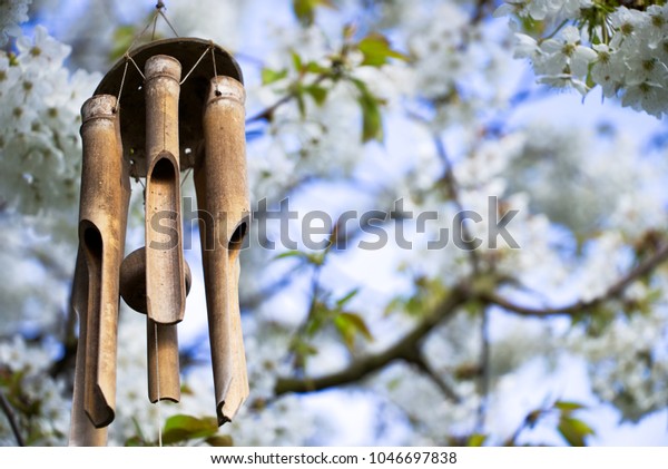 garden decoration, wind chimes\
hanging in a blooming tree, bamboo chimes on a cherry tree in\
garden