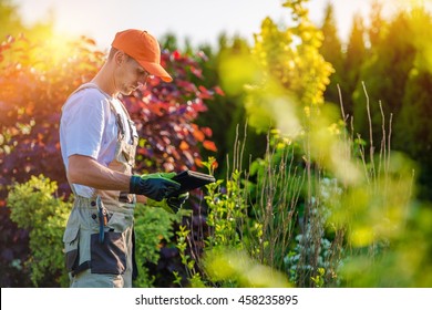 Garden Design with Tablet Device. Professional Gardener with His Tablet Computer.