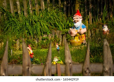 Garden Dwarf 