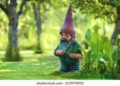 Garden dwarf with a long beard and a fairy cap in a beautiful summer garden during midday. A fairy-tale character made of cement and painted in bright colors. Portrait of garden gnome. 