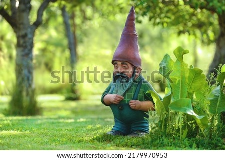 Garden dwarf with a long beard and a fairy cap in a beautiful summer garden during midday. A fairy-tale character made of cement and painted in bright colors. Portrait of garden gnome. 