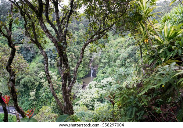 Garden Eden Maui Hawaii Stock Photo Edit Now 558297004