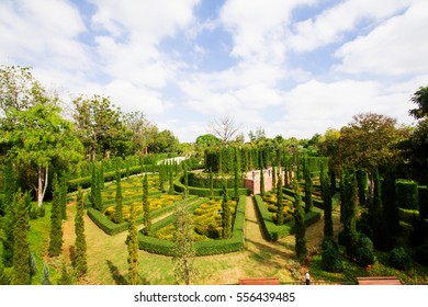 Garden English style  Beautiful  - Shutterstock ID 556439485