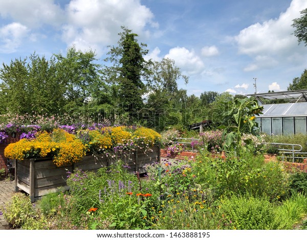 Garden Everyone Garten Alle Flower Island Nature Parks Outdoor