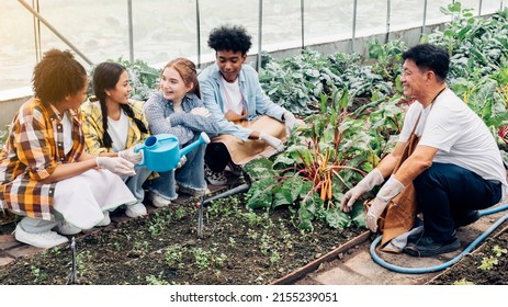 A Garden Expert Is Teaching A Group Of Teenage Students In A Vegetable Plot.