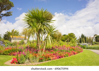 Garden In Falmouth In Cornwall