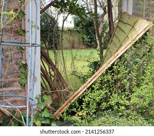 Garden Fence Panel Blown Down In Storm Showing Garden Beyond Fence After Storm Eunice