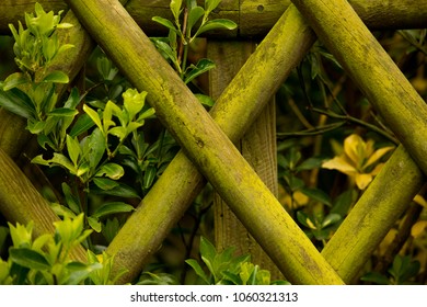 Garden Fencing Background