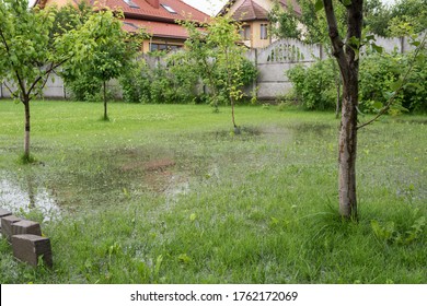 The garden is flooded. Consequences of downpour, flood. Rainy summer in Ukraine, 2020. - Shutterstock ID 1762172069