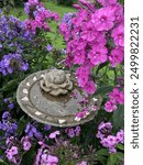 Garden, Flower, concrete, birdbath, phlox