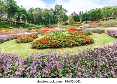 Garden Flowers