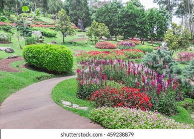 Garden Flowers