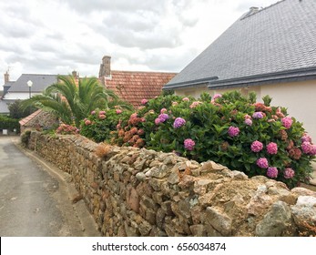 A Garden With Flowers Behind A Stone Fence. Autumn Day