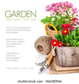 Garden flowers in wooden basket with garden tools. Isolated on white background