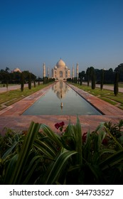Garden of foreground flowers at empty symmetrical front of Taj Mahal and its mirror image reflection in length of the long water fountain on a clear blue sky in Agra, India. Vertical copy space