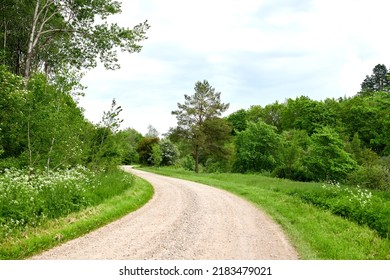 Garden, Forest Or Park With A Path Between Lush Green Trees, Plants And Leaves In Nature On A Sunny Spring Day. Scenic Landscape To Explore With A Gravel Road Through An Open Meadow Or Plantation