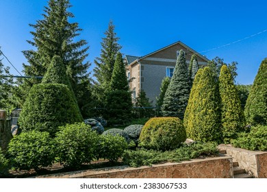 Garden in front of a residential building with coniferous trees