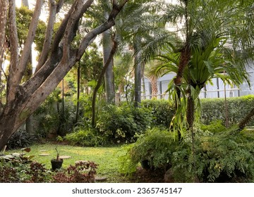 Garden frontyard of tropical house - Shutterstock ID 2365745147