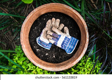 Garden Gloves In Plant Pot