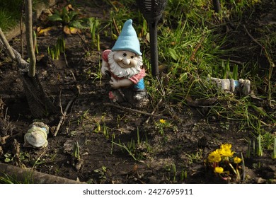 A garden gnome in a bed in the garden in spring