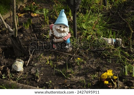 A garden gnome in a bed in the garden in spring