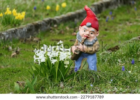 Garden Gnome with Flowers in Spring