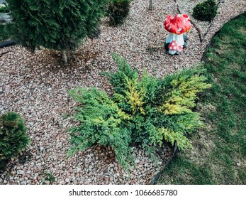garden gnome standing among nice flowers, paving green garden  - Shutterstock ID 1066685780