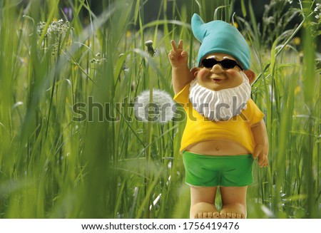 Garden gnome with sunglasses stands in front of a flower meadow.                      