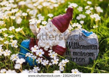 garden gnome with White flowers