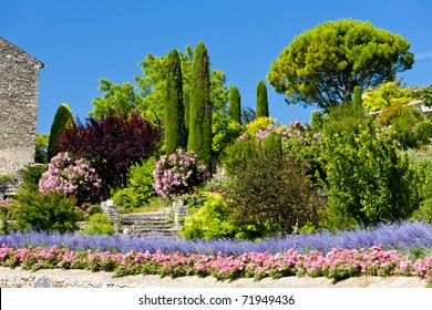 Garden At Gordes, Provence, France