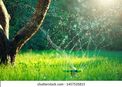 花园，草浇水。智能花园通过在绿色公园、草坪、花卉和树木浇水的全自动洒水灌溉系统激活。洒水头浇水。园艺概念 
