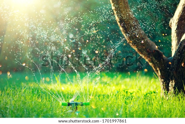 Garden, Grass Watering. Smart garden activated\
with full automatic sprinkler irrigation system working in a green\
park, watering lawn, flowers and trees. sprinkler head watering.\
Gardening concept.
