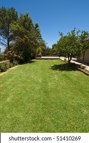 Garden With Green Grass, Big Trees And Clear Blue Skies Overhead