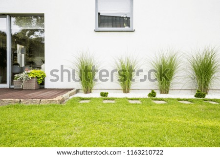 Garden with green grass and four bushes next to a house