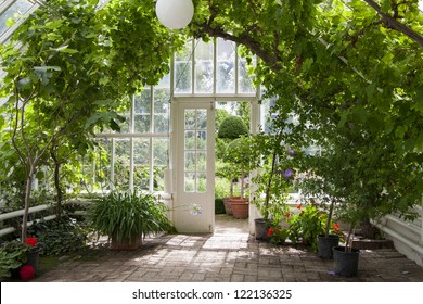 Garden Greenhouse