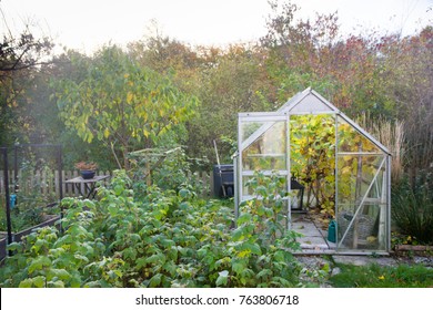 Garden Greenhouse In Autumn