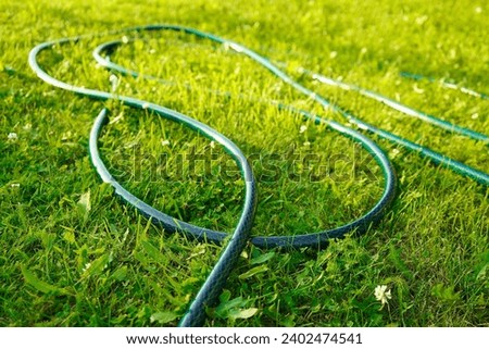 Image, Stock Photo Garden hose lies on a square terrace of stone tiles in a well-kept garden with lawn and a planting strip
