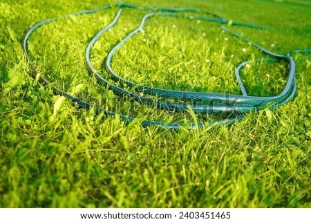 Similar – Image, Stock Photo Garden hose lies on a square terrace of stone tiles in a well-kept garden with lawn and a planting strip