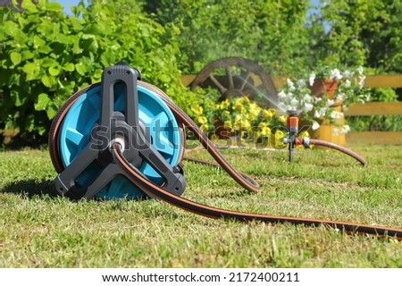 Garden hose reel and sprinkler for watering plants and flowers are on a green lawn bathed in sunlight. 