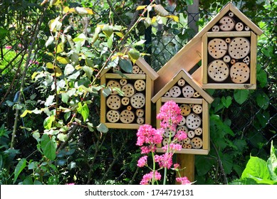 A Garden With Insect Hotel