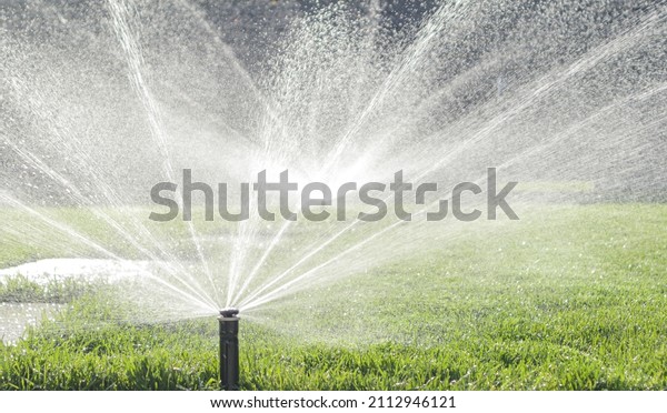 Garden irrigation system lawn.\
Automatic lawn sprinkler watering green grass. Selective\
focus.