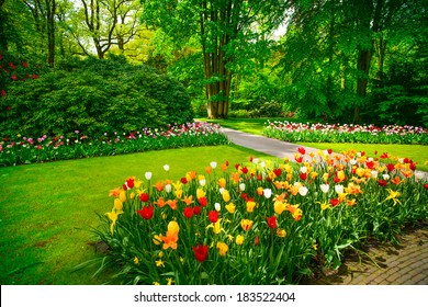 Garden in Keukenhof, tulip flowers and trees on background in spring. Netherlands, Europe.