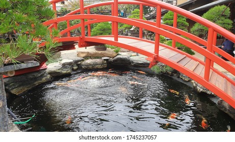 garden-koi-fish-pond-arched-260nw-174523