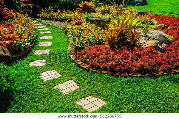 Garden landscape design with pathway\
intersecting bright green lawns and shrubs white sheet walkway in\
the garden. Landscape design with colorful shrubs. grass with\
bricks pathways. lawn care\
service.
