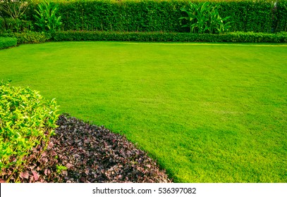 芝生 花 の写真素材 画像 写真 Shutterstock