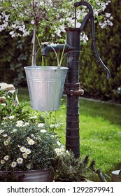 Garden Landscaping With Old Cast Iron Water Pump And Galvanised Bucket With Fresh Daisies Growing In A Metal Tub Below