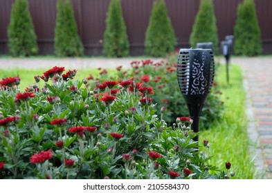 garden light bulbs for garden design are installed on the lawn - Shutterstock ID 2105584370