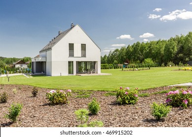 Garden With Little Shrubs Surrounding Modern House